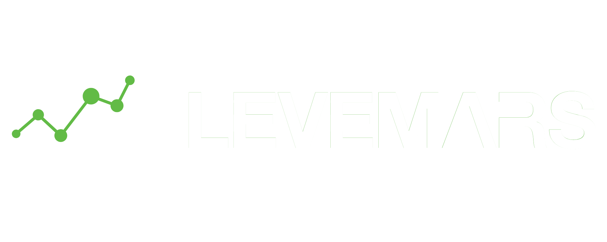 Levemars Strategic Partner